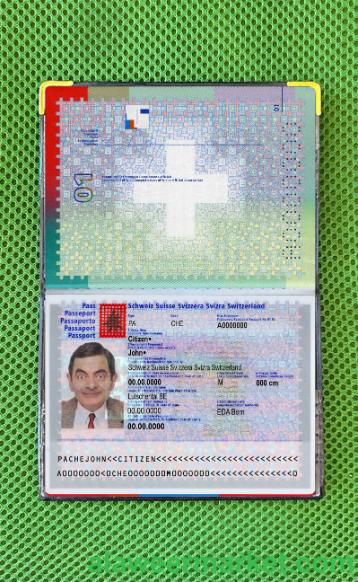 Switzerland passport photo look